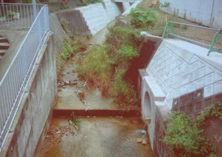 DSC01683
